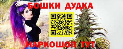 сатива Будённовск