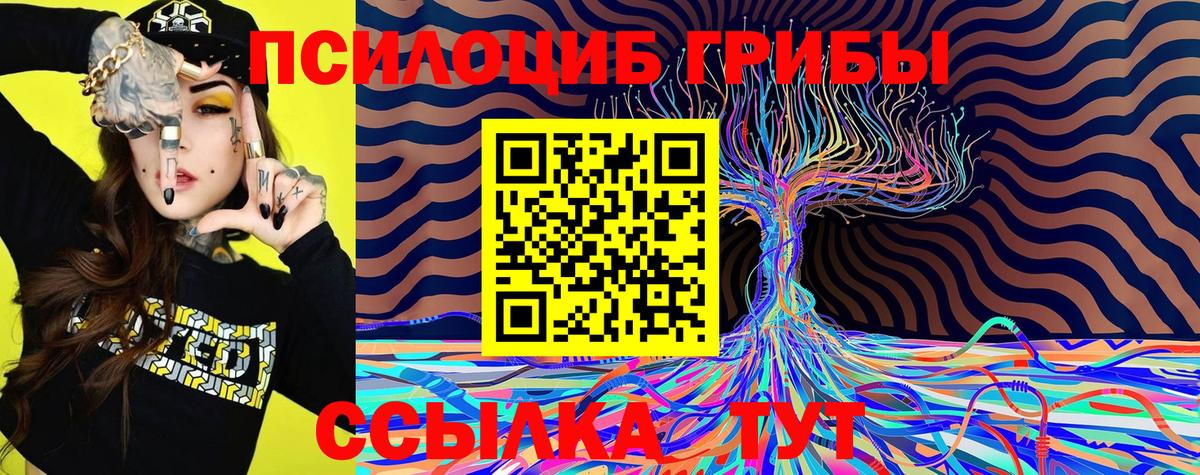 Псилоцибиновые грибы ЛСД Северск
