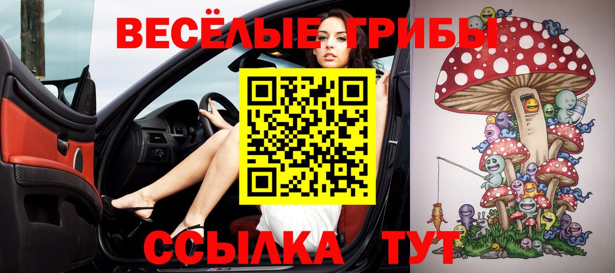 наркотики  Вход с VPN  Северск  Галлюциногенные грибы мицелий  Галлюциногенные грибы Cubensis 